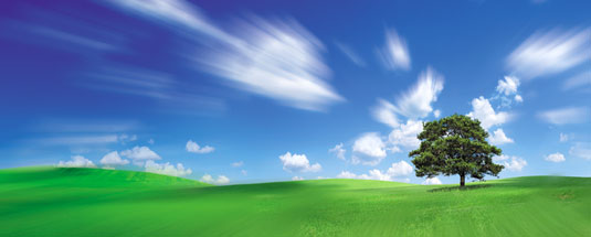 land remediation
